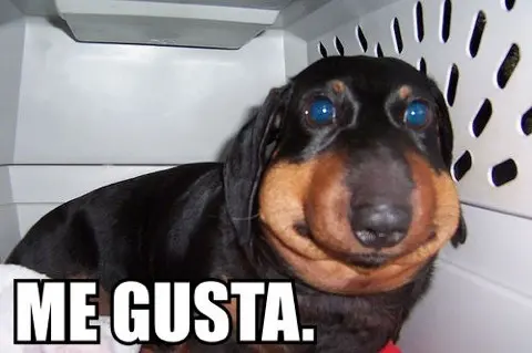 tumblr_leu17nviC01qfg4z5o1_500.jpg
