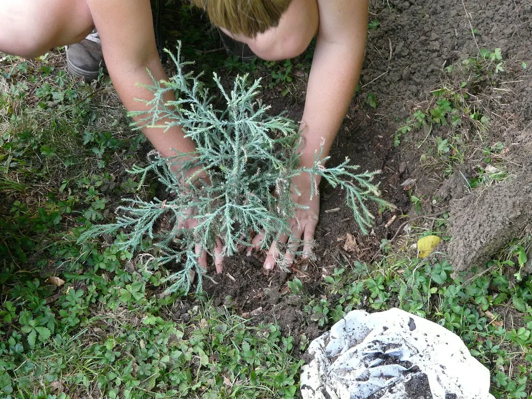 gardener-gb1888e00b-1280.jpg