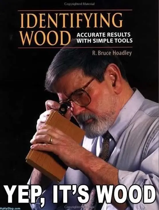 n4bvc.jpg