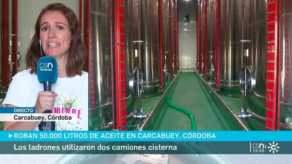 www.canalsur.es