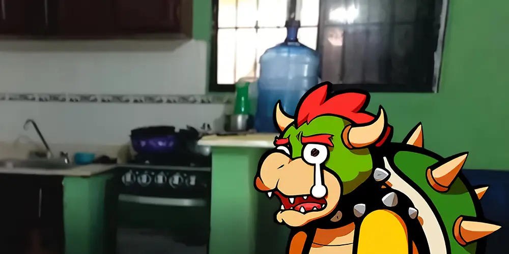 Bowser