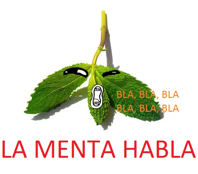 pvwwPxV.png