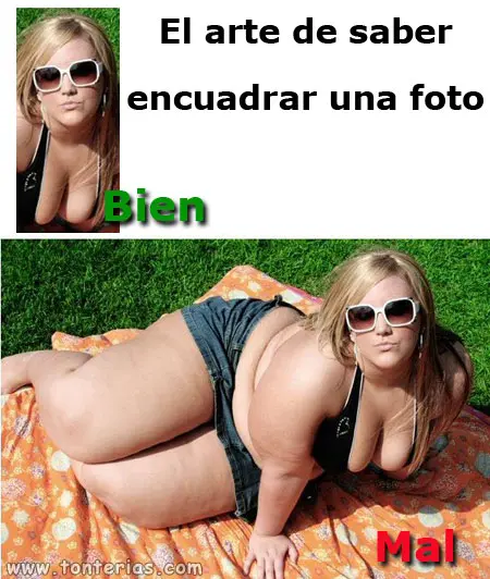 8113.jpg