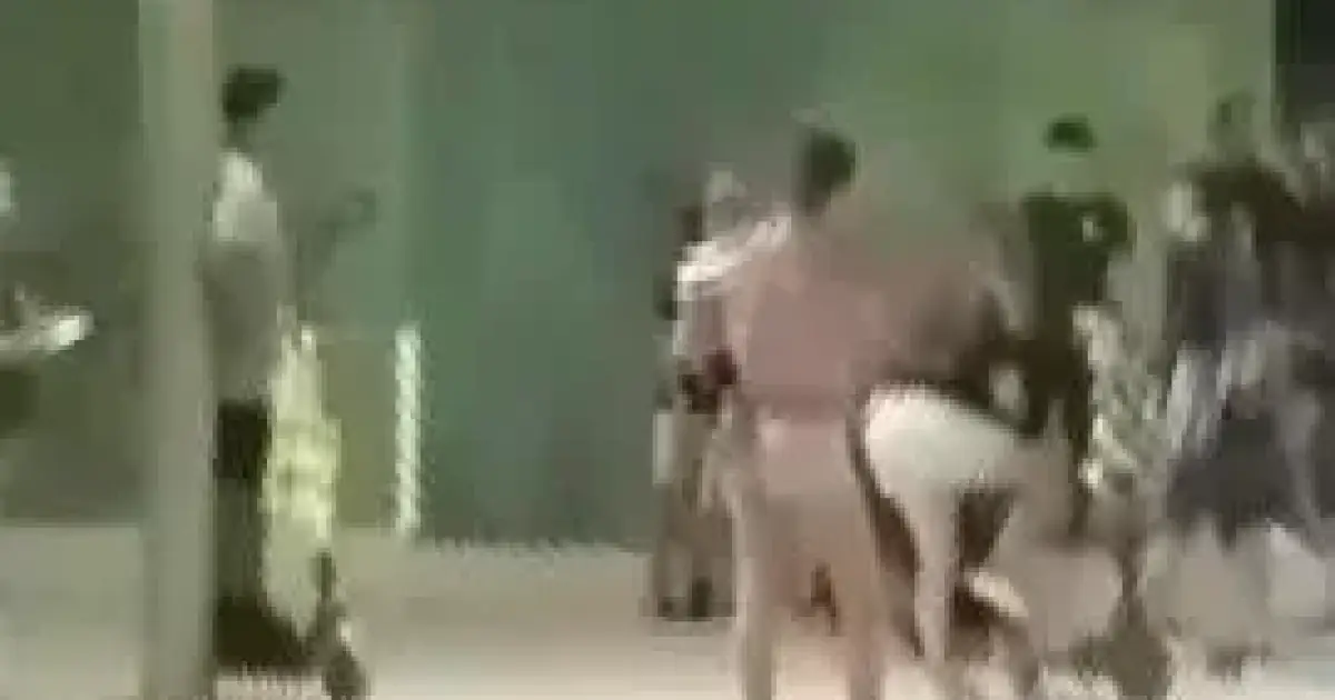 www.ultimahora.es