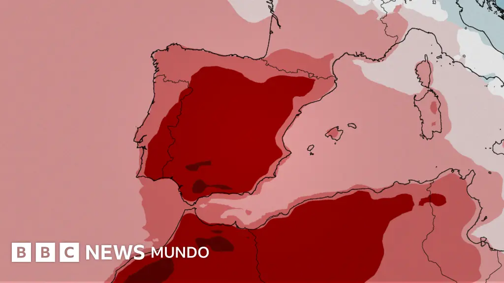 www.bbc.com