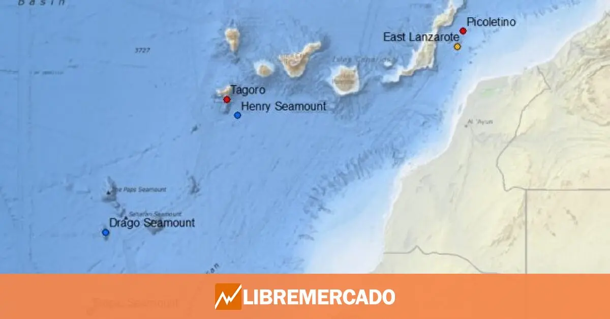 www.libremercado.com