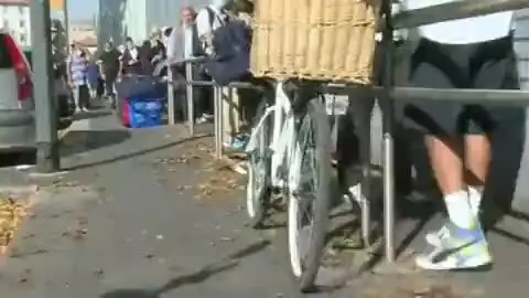 eldiestro.tv