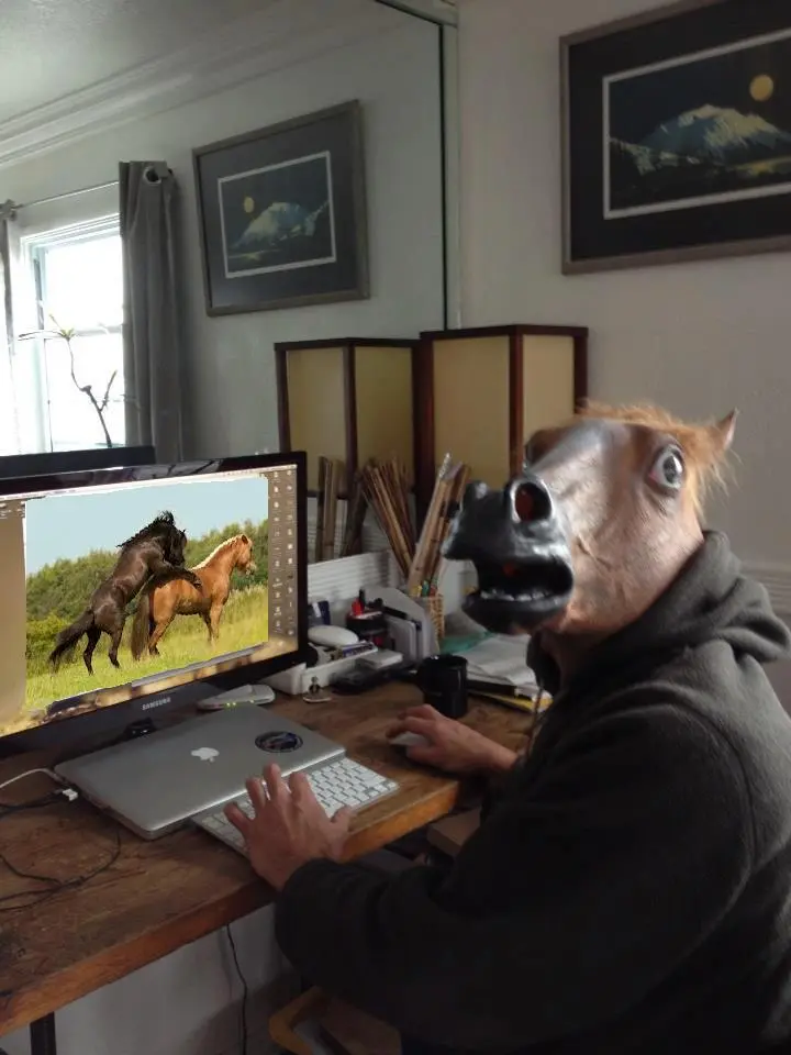 fyTYv.jpg