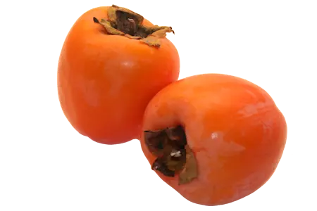 kaki.png