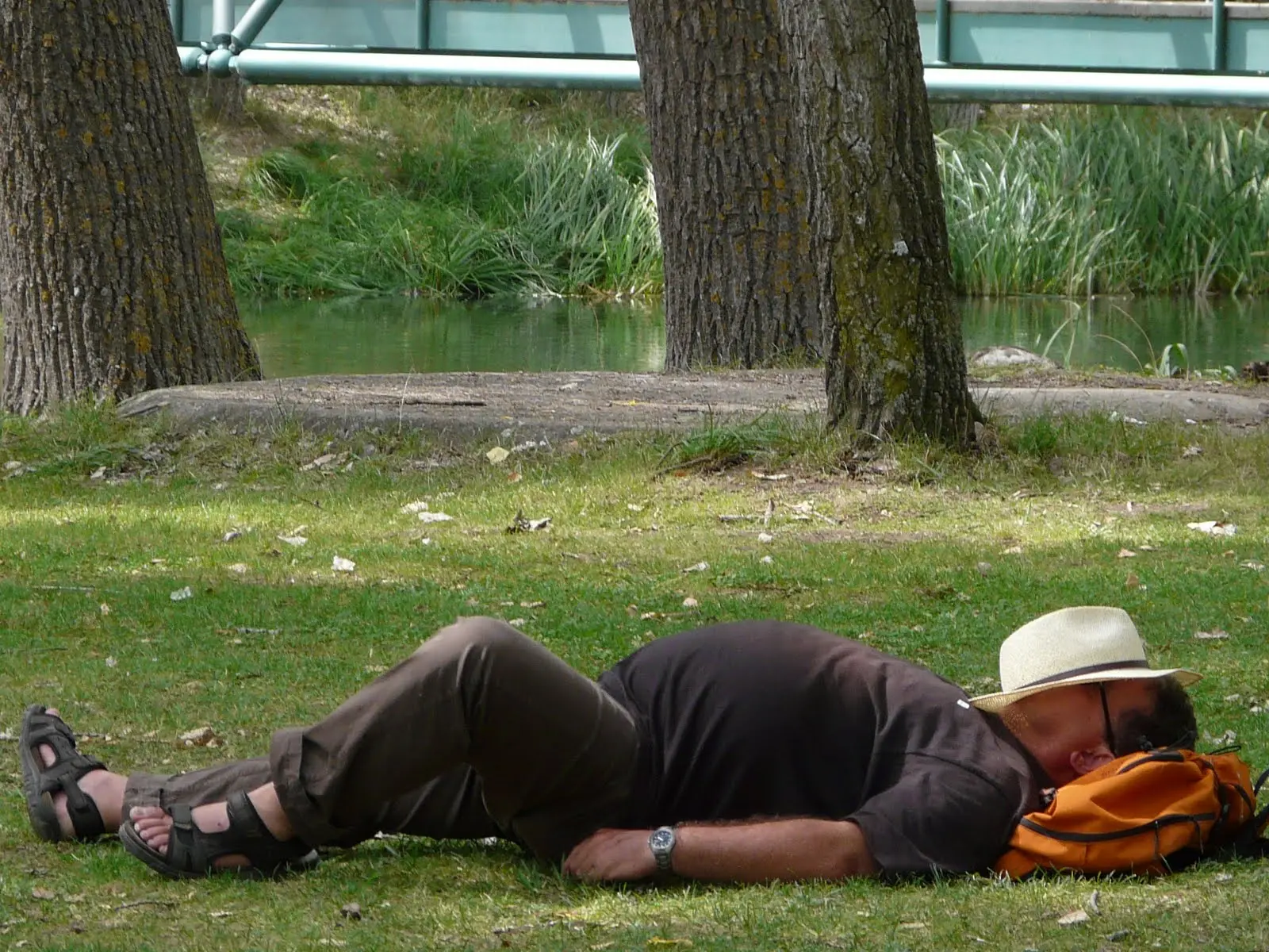la-siesta.jpg