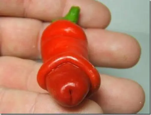 chili_pene.jpg