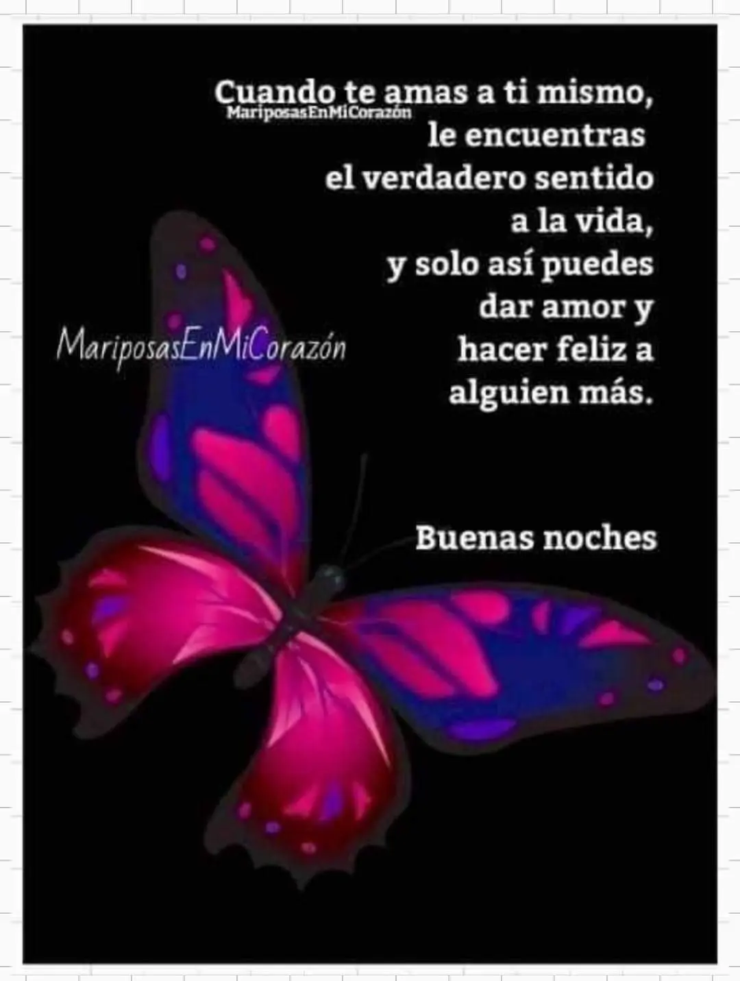 mariposa1.jpg