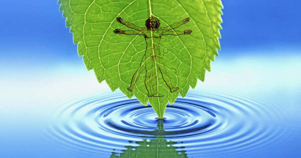 cienciaysaludnatural.com