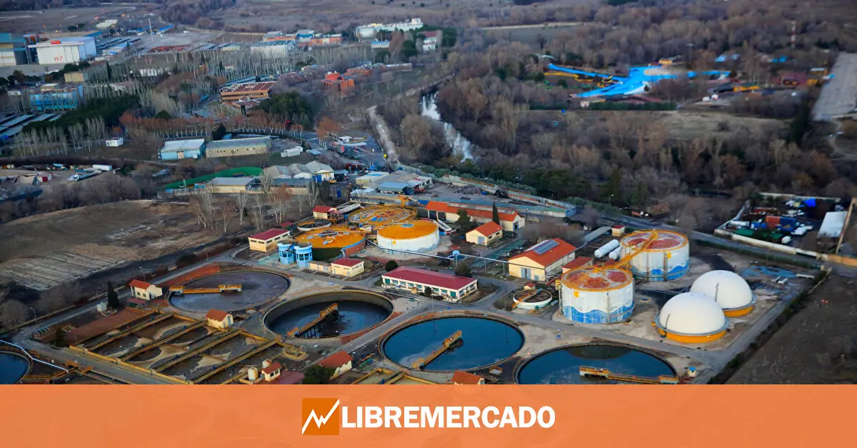 www.libremercado.com