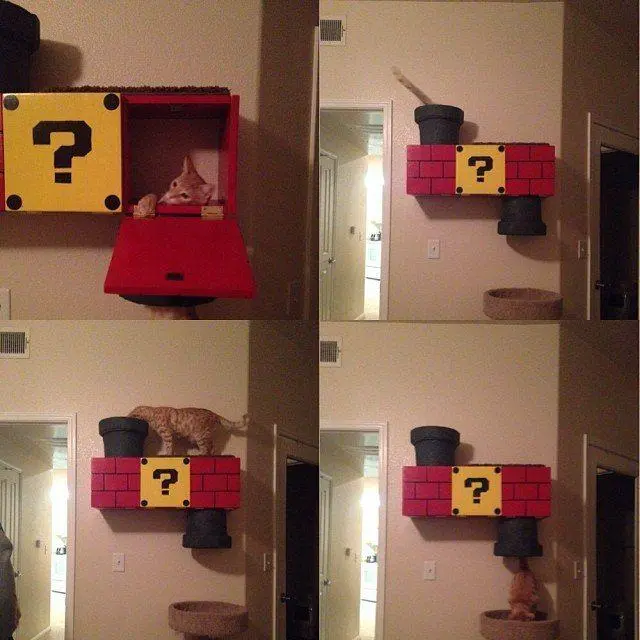 cat-mario.jpg
