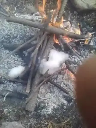 eldiestro.tv
