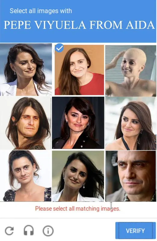werfwqerg.jpg
