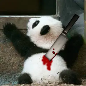 panda-cub.jpg