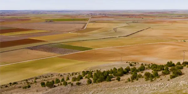 14_campos-castilla-valladolid.jpg