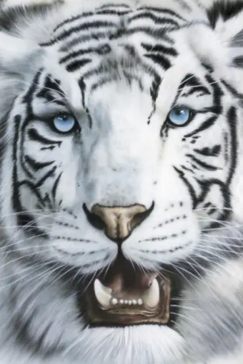 anonymousi-tigre-blanco.jpg