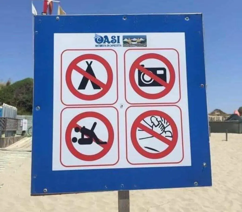 7NBdZd2.jpg