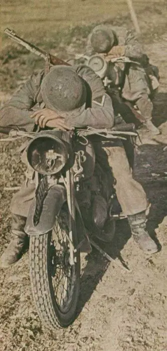 34.jpg