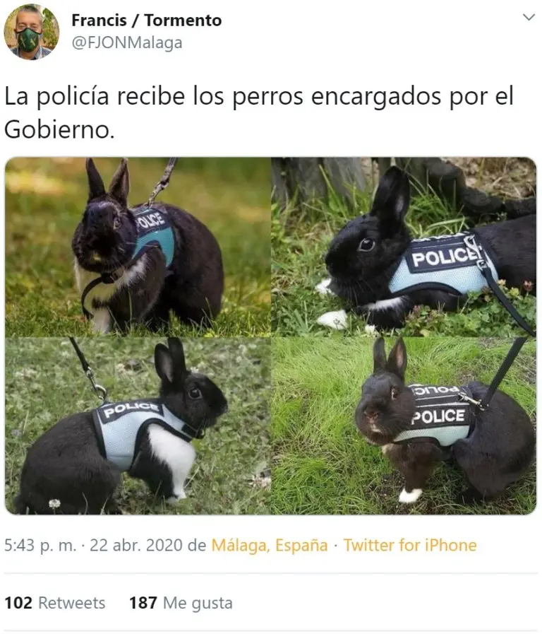 JGOUHLu.jpg