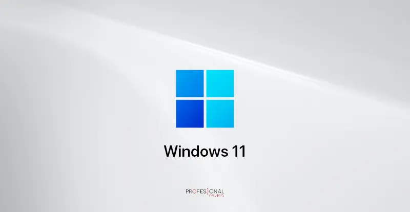 www.profesionalreview.com