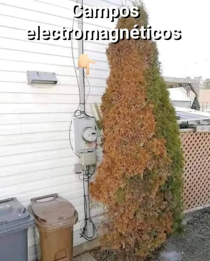 9PJ1Jf3.jpg