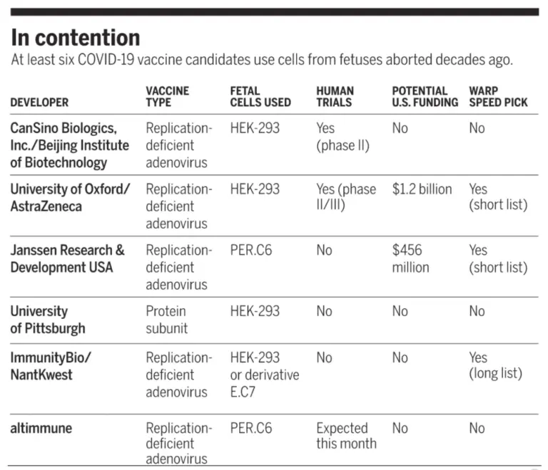 image1-25-768x660.png