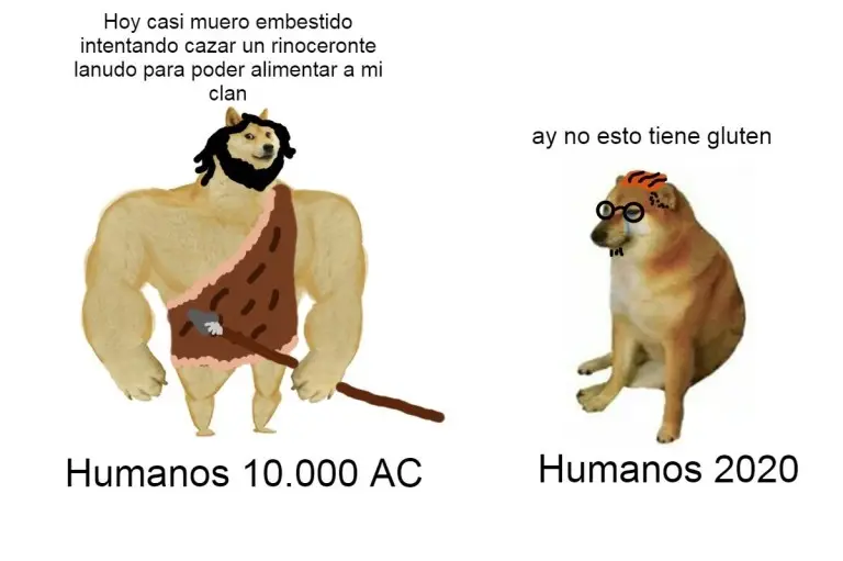 QjehRqp.jpg