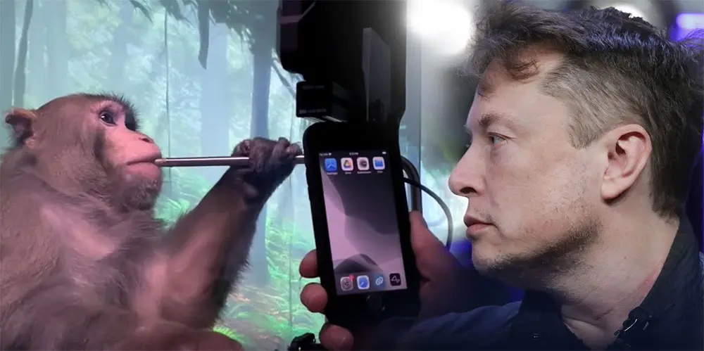 Elon Musk Monos