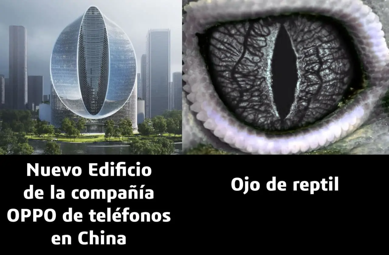 I1tcIpt.jpg