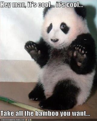 funny-pictures-panda-will-let-you-take-the-bamboo.jpg