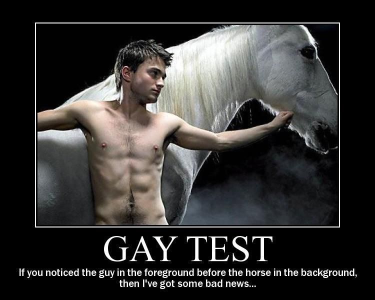 gay-test-equus.jpg