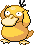 psyduck.png